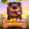 The Big Dog House
